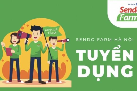 sendo farm hà nội
dịch vụ đi chợ kiểu mới, đảm bảo bởi fpt image