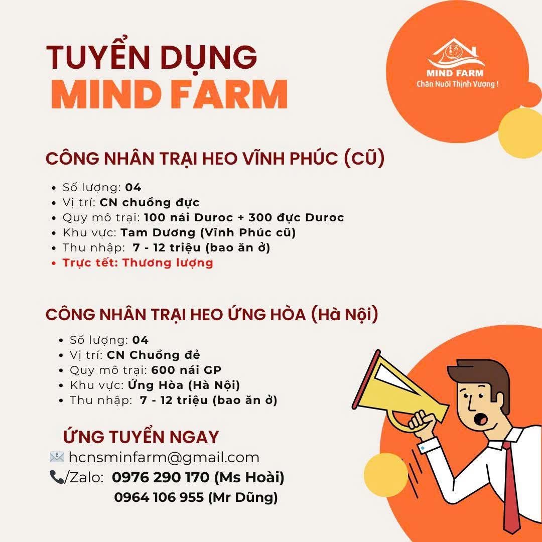công ty TNHH nông nghiệp mind farm
công ty chuyên tạo giống heo giống và chăn nuôi lợn image